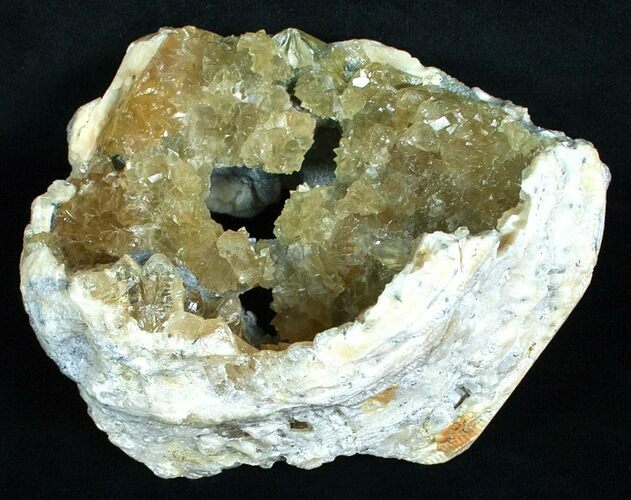 Calcite Crystal Filled Clam Fossil - #6048